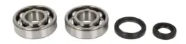 lozyska-walu-korbowego-allballs-suzuki-rm125-89-08