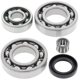 all-balls-zestaw-naprawczy-dyferencjalu-tyl-kawasaki-klf250-bayou-03-11