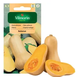 dynia-pizmowa-butternut-podluzna-dzwonkowa-zupa-dyniowa-nasiona-vilmorin