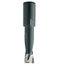 cmt-380-040-11-frez-domino-d4-i11-l3-sm6x075