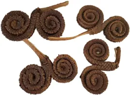 baranie-rogi-lakierowane-4-sztuki-9cm-susz-egzotyczny-do-stroikow-dekoracji