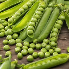 groch-konserwowy-polar-nochowski-nasion-w-straku-ok-6-warzyw-grochu