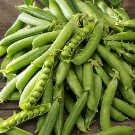 groch-konserwowy-biznes-nasiona-warzych-grochu