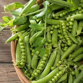 groch-konserwowy-walor-sr-wczesny-nasiona-warzyw