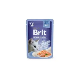 br-cat-pouch-85g-jelly-fillets-with-salmon