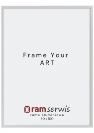 rama-aluminiowa-50x100-srebrny-mat-plakat-zdjecie-100x50