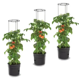 3x-donica-pomidory-truskawki-ogorki-uprawa-warzyw-295cm