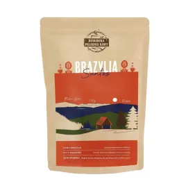 swiezo-palona-kawa-ziarnista-brazylia-santos-100g-100percent-arabica-speciality