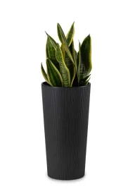 doniczka-oslonka-wklad-domowa-donica-wysoka-prazki-czarna-loft-36cm-taras