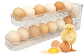 pojemnik-na-jajka-do-lodowki-plastikowy-organizer-przezroczysty-szuflada