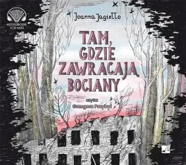tam-gdzie-zawracaja-bociany-audiobook