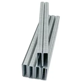 zszywki-typ-55-do-parkside-pet-25-c3-dlugosc-21-mm-zszywki-parkside-pat-20