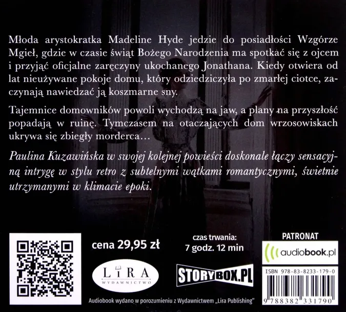 dama-z-woalka-audiobook-tytul-cd-mp3-dama-z-woalka