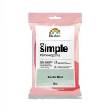 beckers-it-s-simple-tester-28-pastel-mint-005l