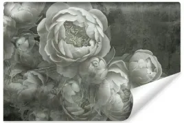 fototapeta-do-sypialni-natura-kwiaty-peonie-abstrakcja-styl-retro-400x280