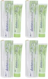 4x-alantan-dermoline-masc-pielegnacyjna-z-witamina-f-50g