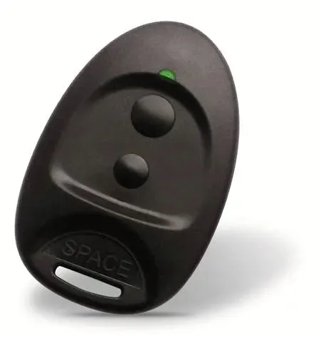 pilot-2-kanalowy-came-sp-2-space