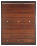 szafa-3d-forrest-fr10-typ-drzwi-uchylne