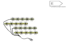 oswietlenie-4-punktowe-led-do-witryny-joakimis-izled17l11p4-wn01-forte