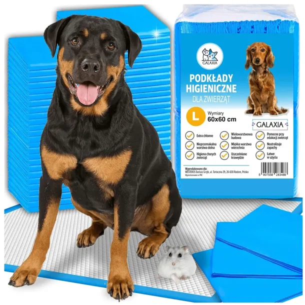 PODKŁADY DLA PSÓW Higieniczne Maty Dla Psa Do Sikania Zwierząt 60x60 100szt