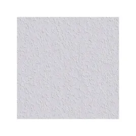 tapeta-do-malowania-rauhfaser-mittel-25mb