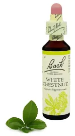 35-white-chestnut-kasztanowiec-zwyczajny-20-ml-nelson-bach-original-flow