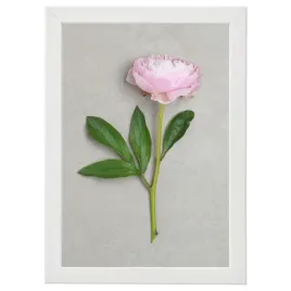 ikea-fiskbo-ramka-na-zdjecia-21x30-ramka-a4-biala