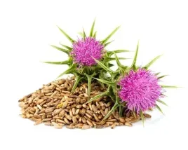 ostropest-plamisty-dla-koni-equiherbs-na-watrobe-doypack-1000g