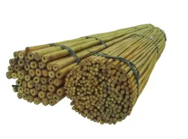 tyczki-bambusowe-150-cm-20-22-mm-50-szt-tyczka-bambus