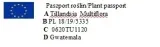 tillandsia-oplatwa-multiflora-mini-5-6-cm-roslina-w-postaci-inna