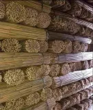 tyczki-bambusowe-240-cm-28-30-mm-10-szt-sadownicze-srednica-28-mm