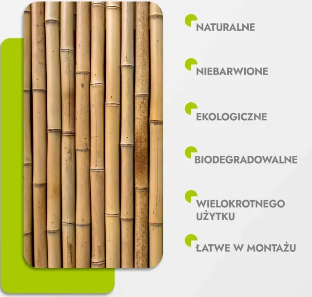 tyczki-bambusowe-240-cm-28-30-mm-10-szt-sadownicze-wysokosc-produktu-240-cm