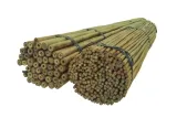 tyczki-bambusowe-240-cm-28-30-mm-10-szt-sadownicze-kod-producenta-2229