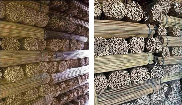 tyczki-bambusowe-240-cm-28-30-mm-10-szt-sadownicze-stan-nowy-material-wykonania-bambus