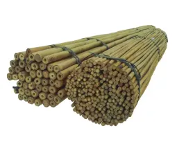 tyczka-bambusowa-120-cm-14-16-mm-100-szt-podpora