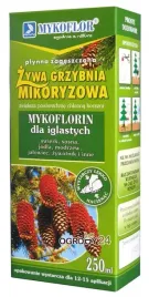 mikoryza-dla-drzew-iglastych-grzybnia