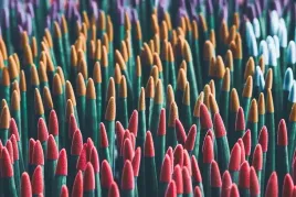 sansevieria-cylindrica-sansewieria-kolorowa-4-szt-30cm-p8