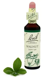 33-walnut-orzech-wloski-20-ml-nelson-bach-original-flower-remedies-lene3