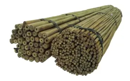 tyczka-bambusowa-150-cm-24-26-mm-10-szt-podpora
