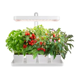 lampa-led-do-wzrostu-roslin-20w-regulacja-timer-biala-do-uprawy-adapter
