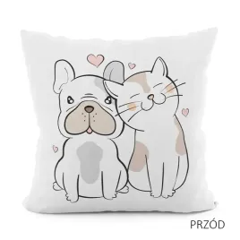 przyjaciele-poszewka-velvet-40x40cm-kolor-001
