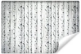 fototapeta-do-sypialni-las-brzozy-abstrakcja-natura-rosliny-450x300