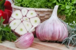 czosnek-zimowy-harnas-kwalifikat-polski-1kg-jakosc-ekologiczny-duze-glowki