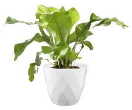 oslonka-kwiatowa-z-podkladka-275-cm-biala-dekoracyjna-nowoczesna-duza