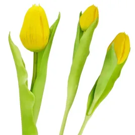 tulipan-silikonowy-zolty-sztuczne-kwiaty-dekoracja-wiosenna-jak-zywe-31cm