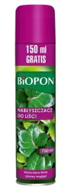 nablyszczacz-spray-lisci-bukietow-roslin-750ml