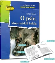 o-psie-ktory-jezdzil-koleja-lektura-z-opracowaniem-i-streszczeniem-greg