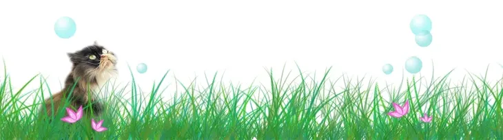 srubkowe-konstrukcje-kod-producenta-113517