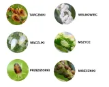 multi-insekt-spray-owadobojczy-substral-mszyce-zastosowanie-owadobojcze-przeciwko-insektom