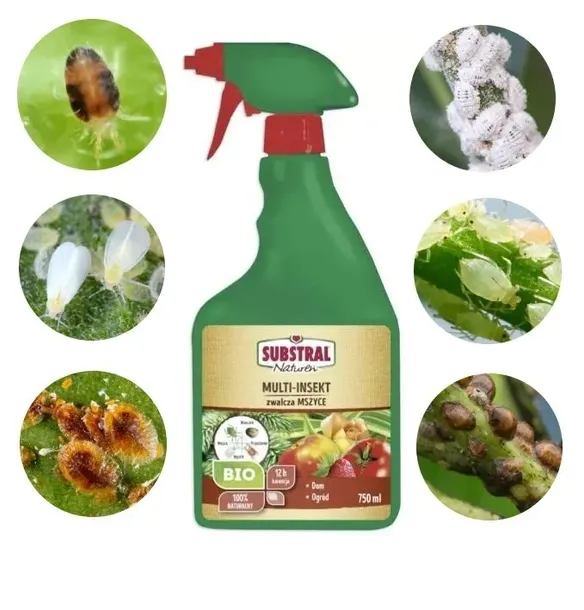 multi-insekt-spray-owadobojczy-substral-mszyce-rodzaj-srodka-organiczny-naturalny-stan-nowy